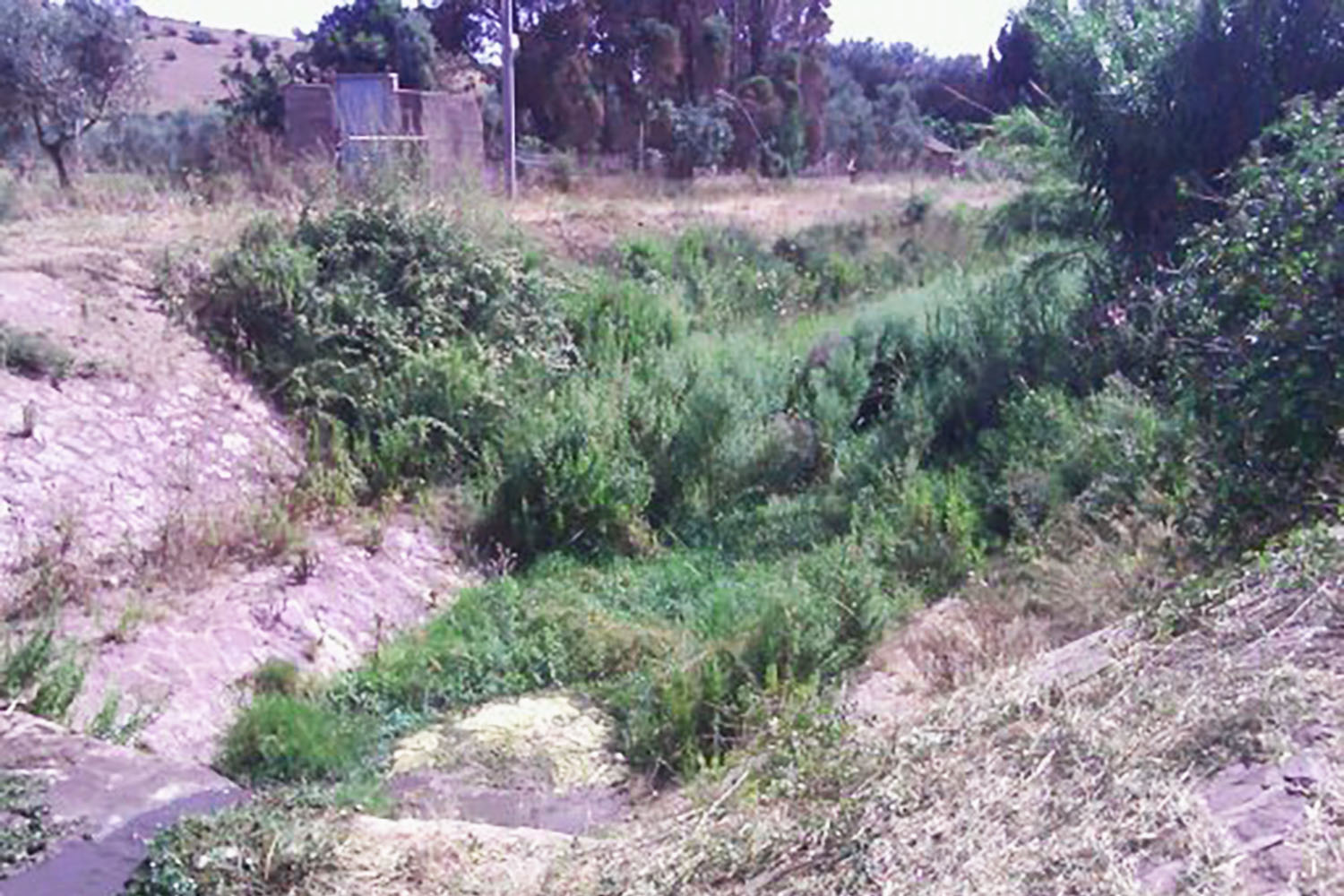 lavori-triciatura-fiumi-Nuxis-02