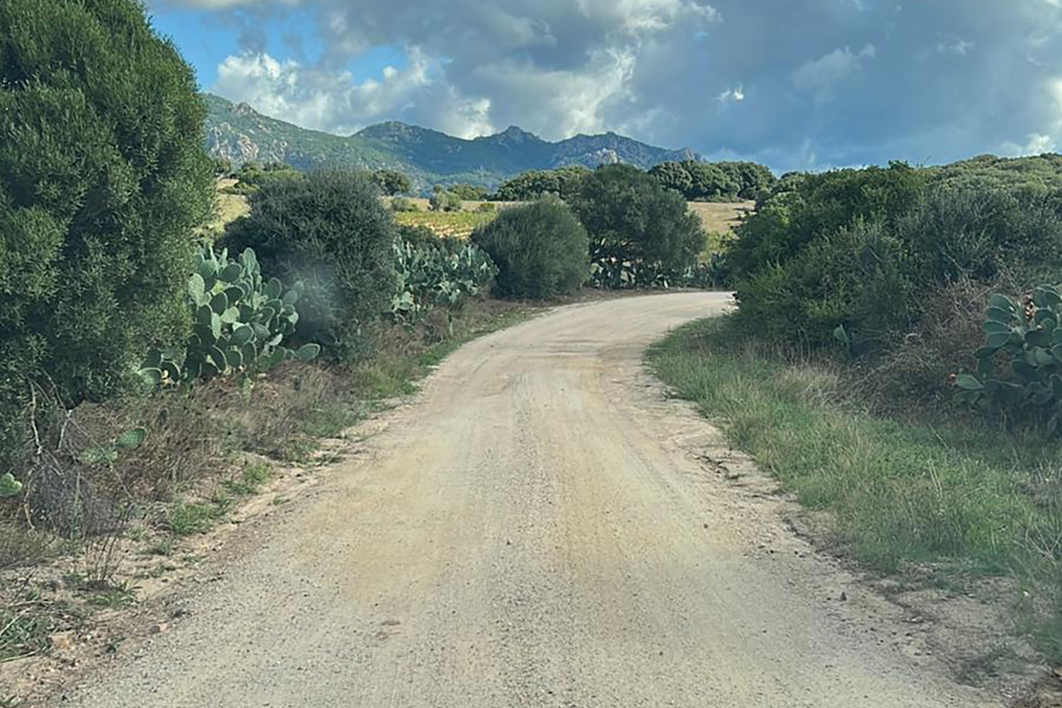 Livellatura strada con Grader Telti Gallura