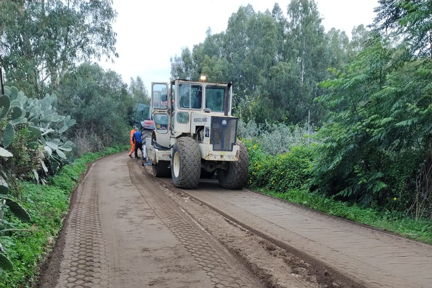 muravera-san-priamo-strada-costeggia-stagno-2
