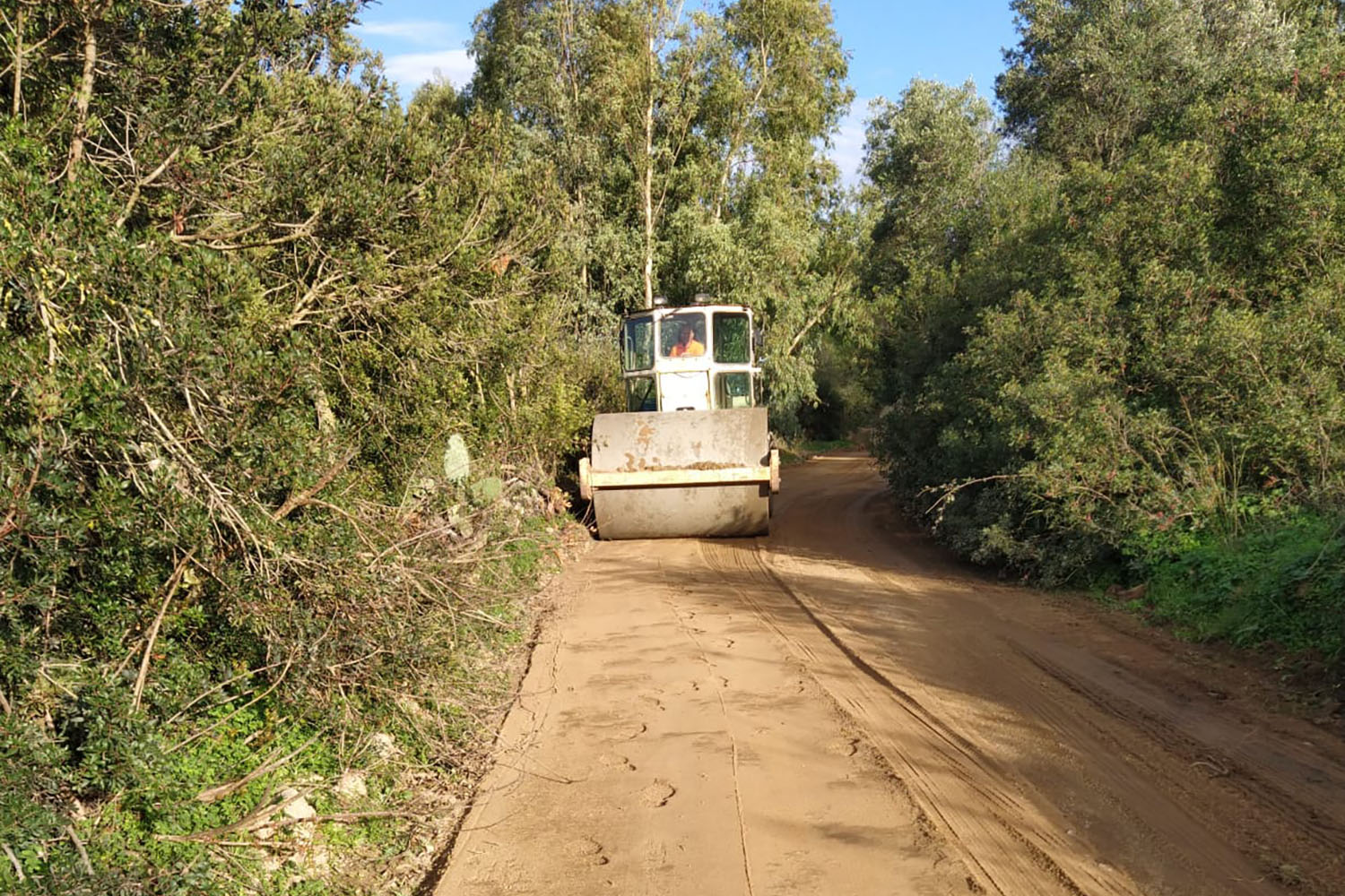 muravera-san-priamo-strada-costeggia-stagno01