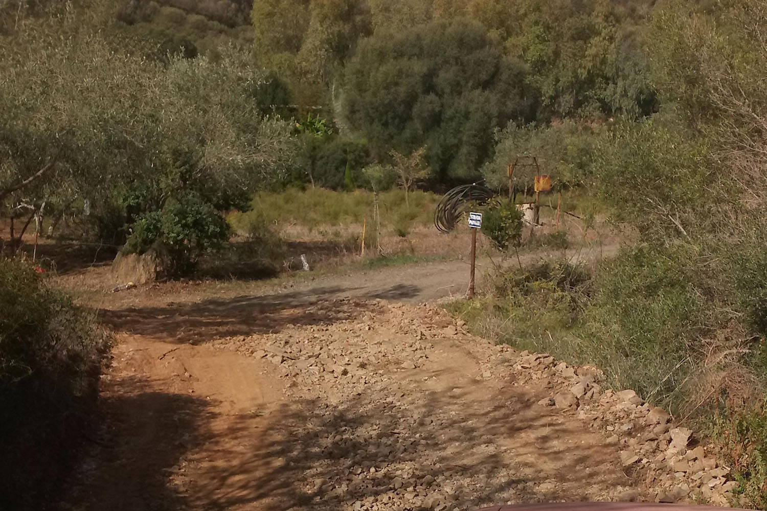 strada-rurale-san-vito-prima-della-preparazione-brodu