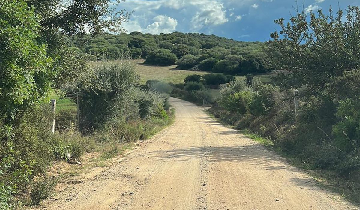 livellatura-strada-telti-grader-2